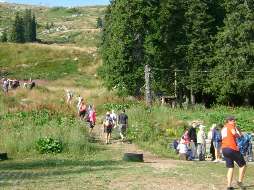124 г. организирания туризъм в България