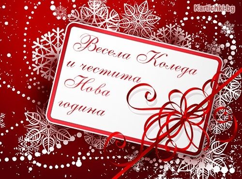 Весели Коледни и Новогодишни празници!