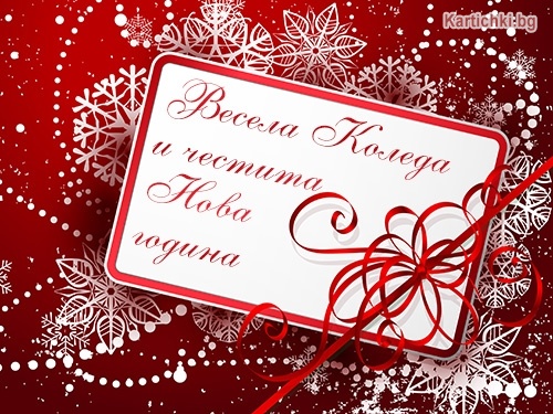 Весели Коледни и Новогодишни празници!