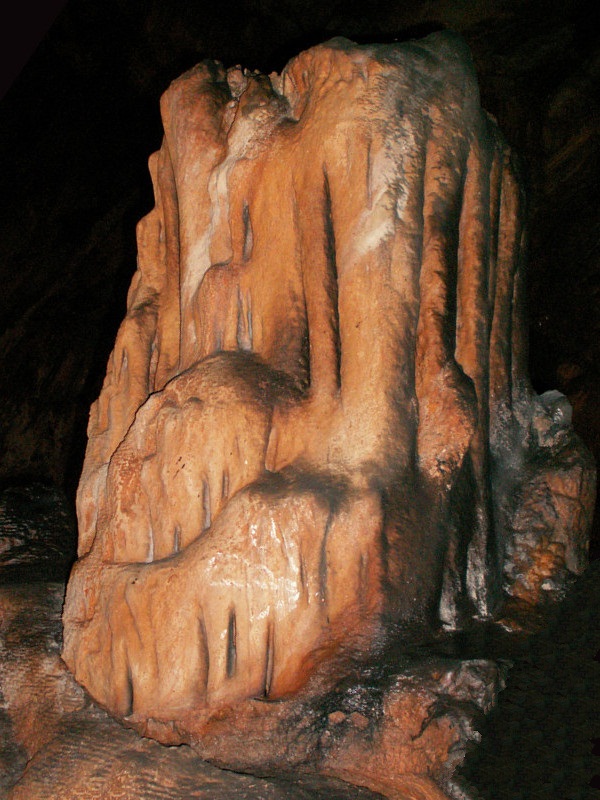SaevaDupkaGun