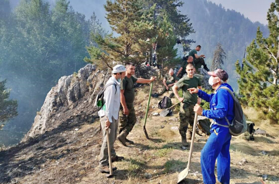 СЛАВЯНКА В ПЛАМЪЦИ